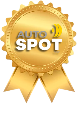 Auto Spot | MAXUS 4X4 T90