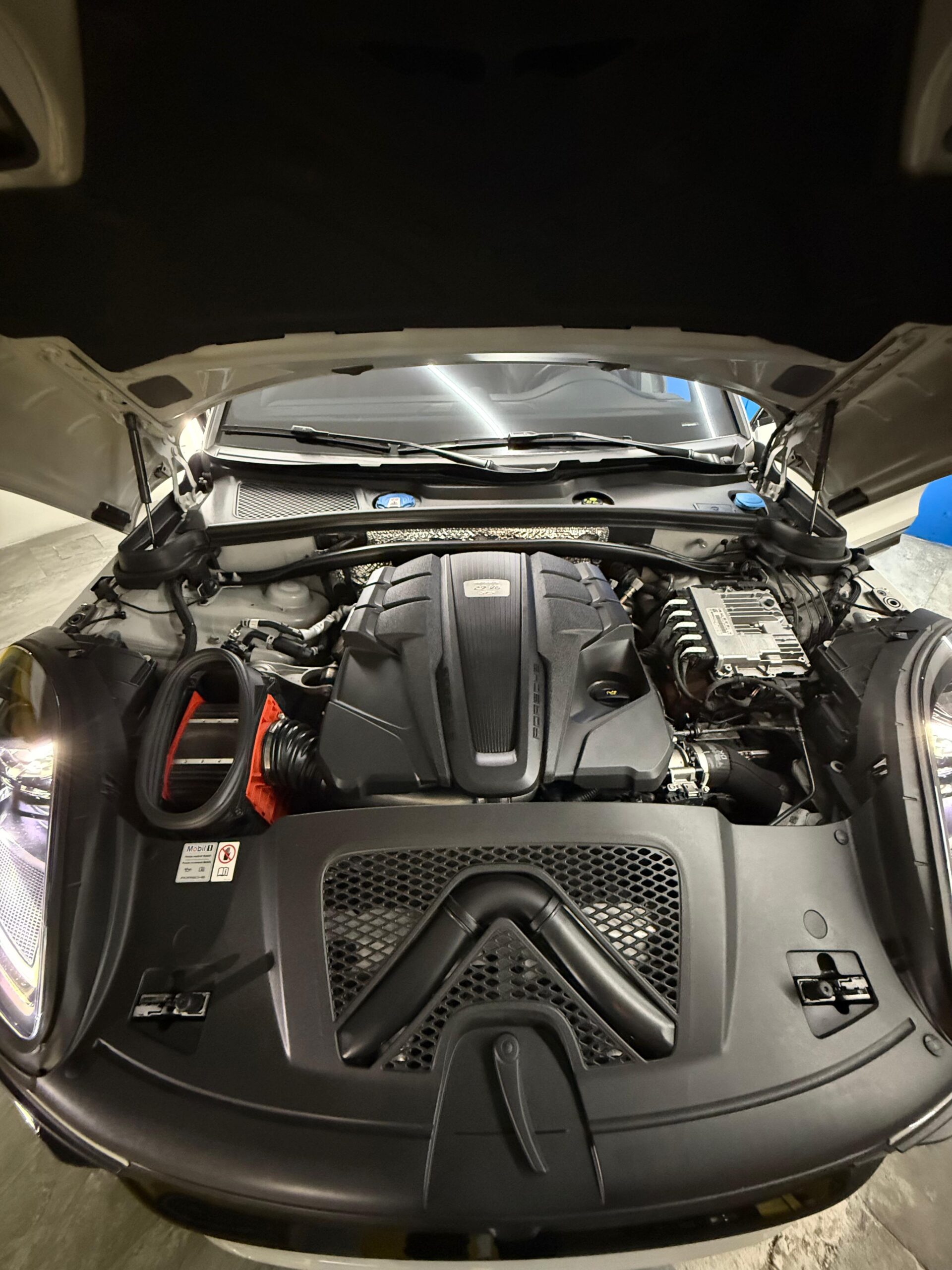 Imagen de WhatsApp 2025-10-23 a las 18.53.43_5e945c0a