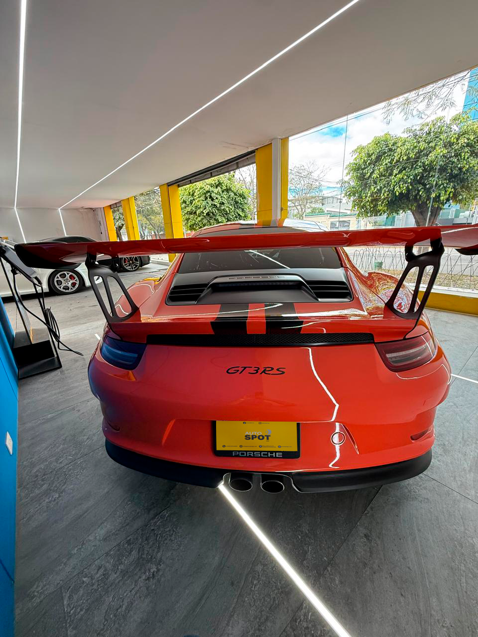 WhatsApp Image 2026-01-30 at 9.37.01 AM