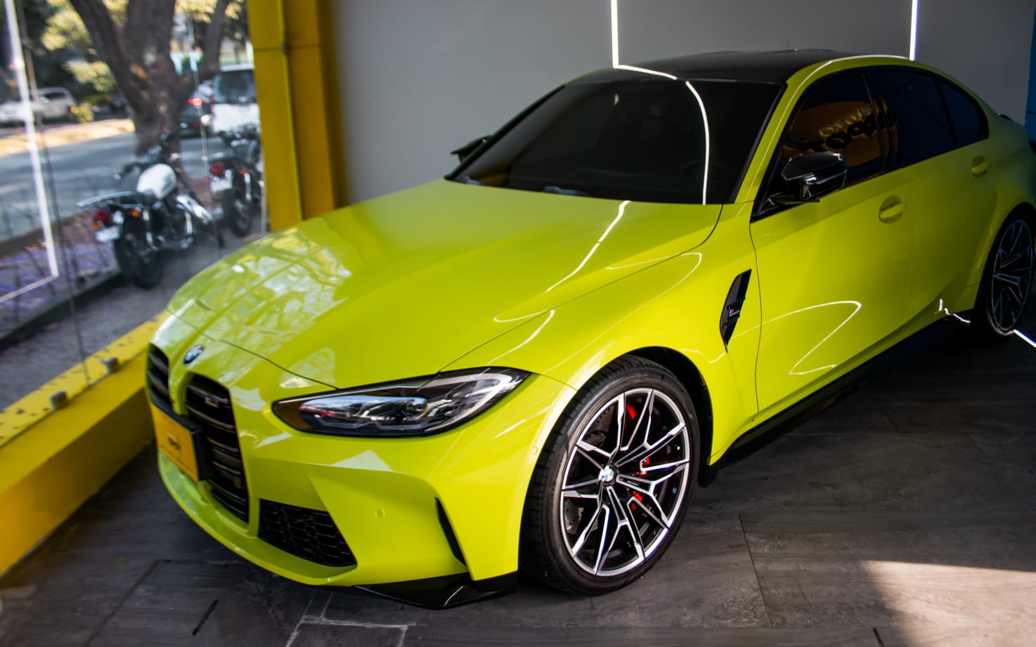 WhatsApp Image 2026-02-12 at 3.38.42 PM