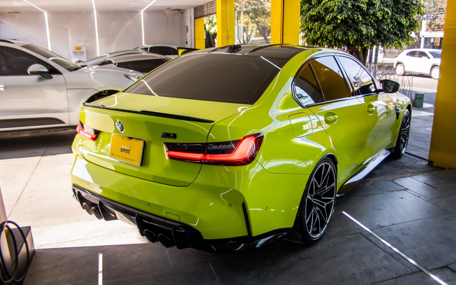 WhatsApp Image 2026-02-12 at 3.38.48 PM (1)