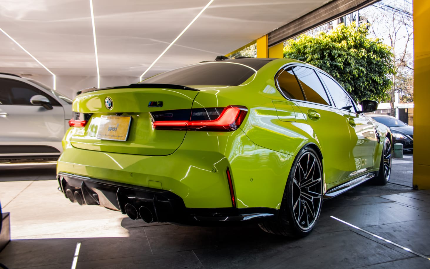 WhatsApp Image 2026-02-12 at 3.38.48 PM (2)