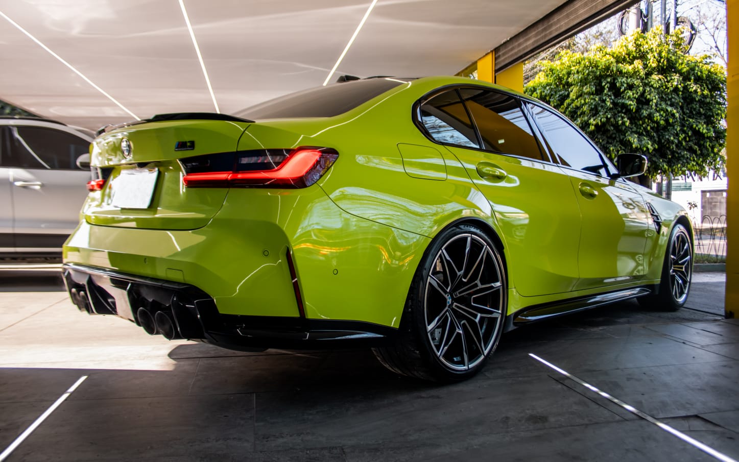 WhatsApp Image 2026-02-12 at 3.38.48 PM