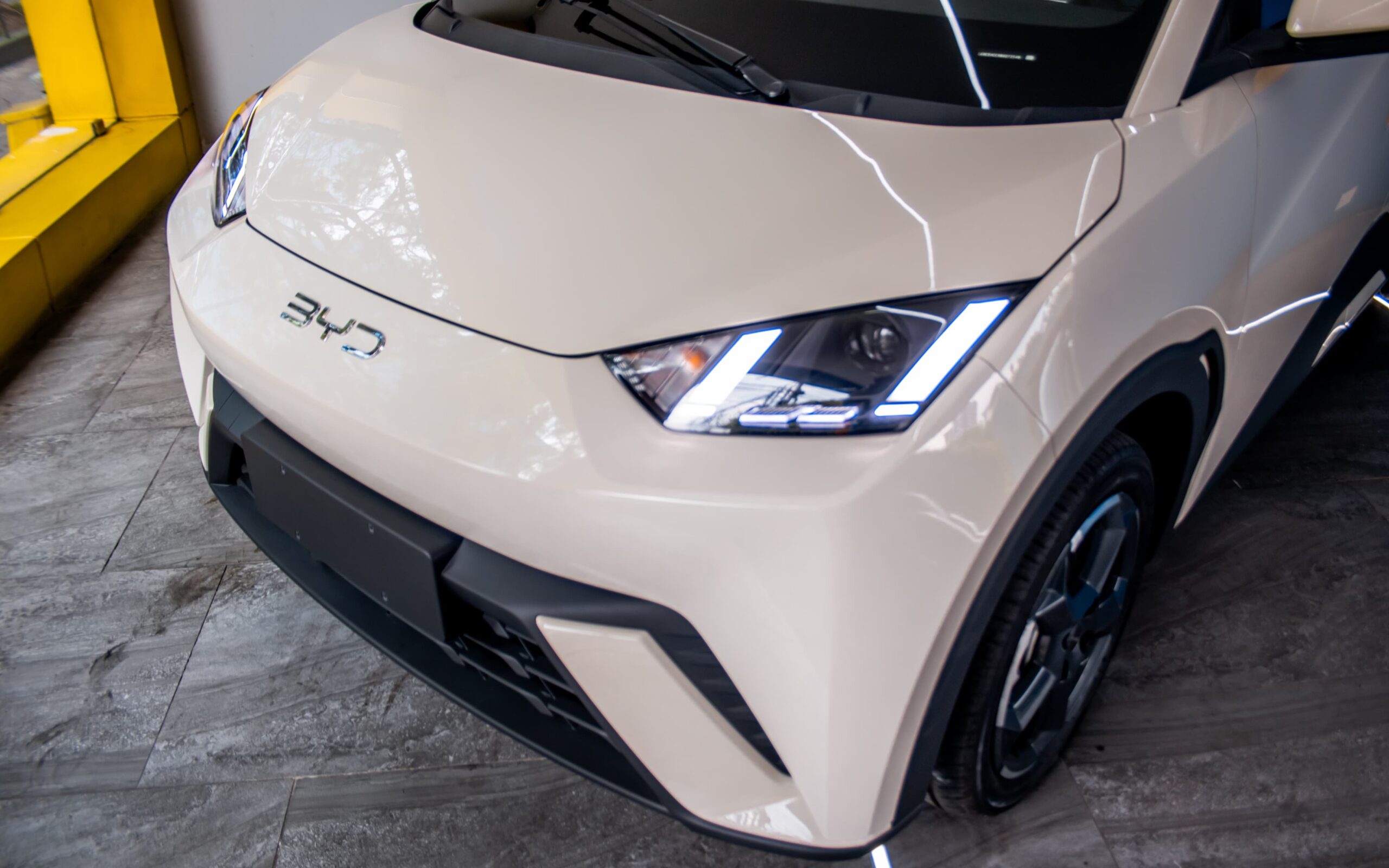 WhatsApp Image 2026-02-13 at 1.09.52 PM (2)