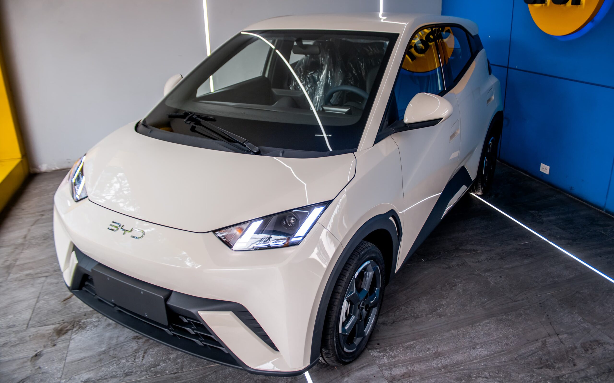 WhatsApp Image 2026-02-13 at 1.09.52 PM