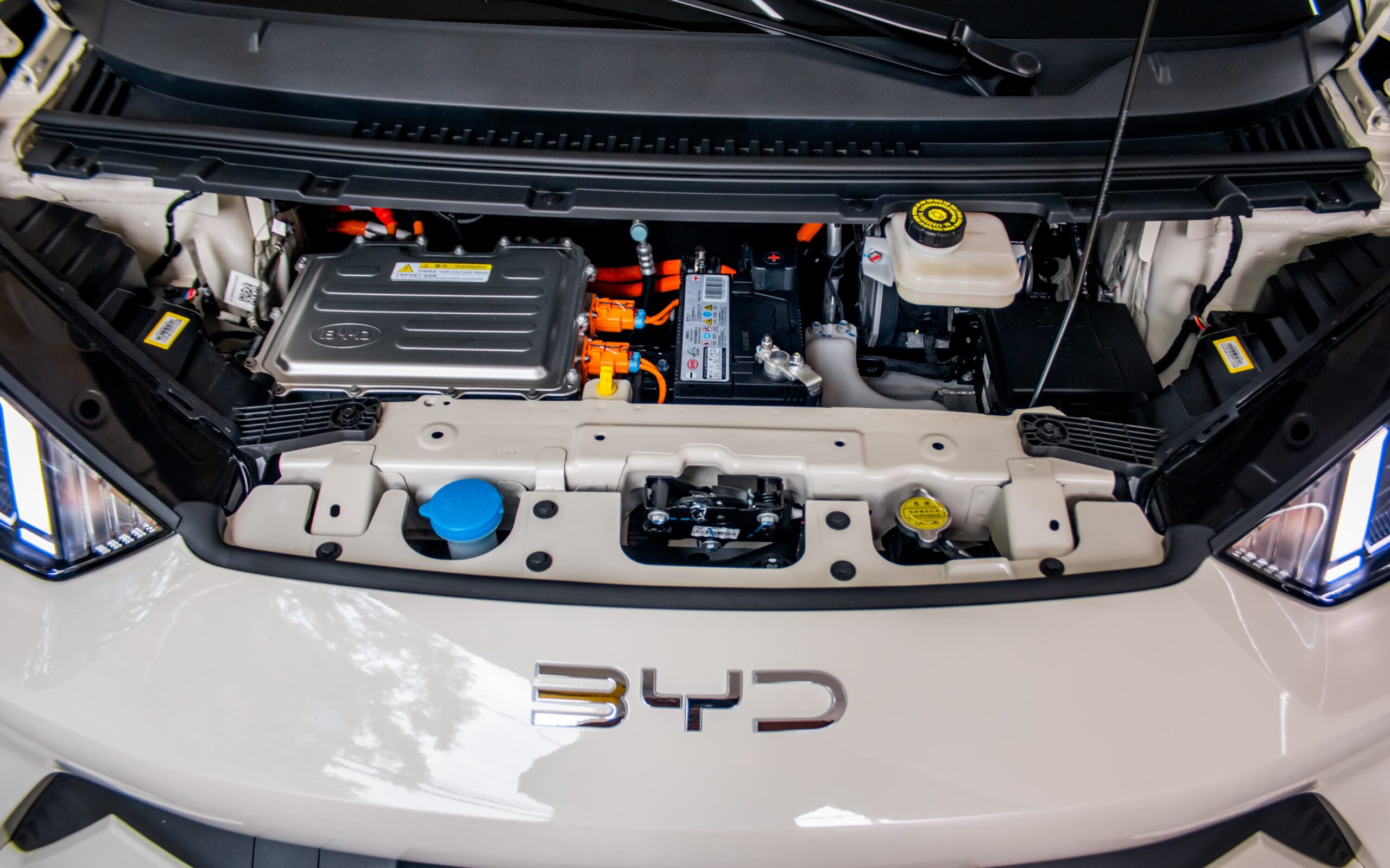 WhatsApp Image 2026-02-13 at 1.09.55 PM (1)