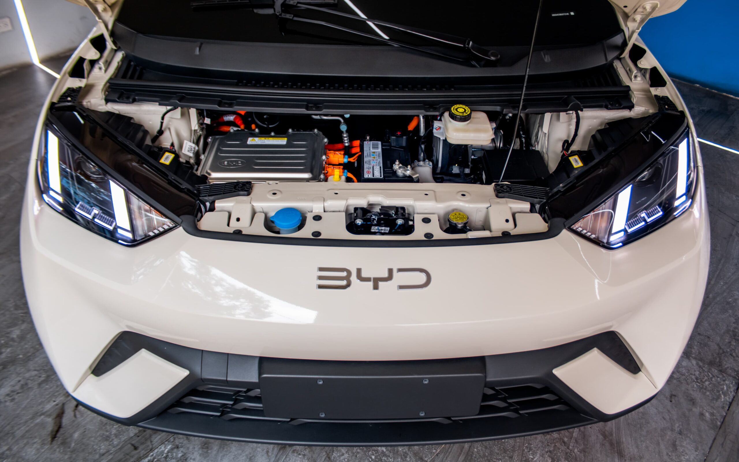 WhatsApp Image 2026-02-13 at 1.09.56 PM (2)