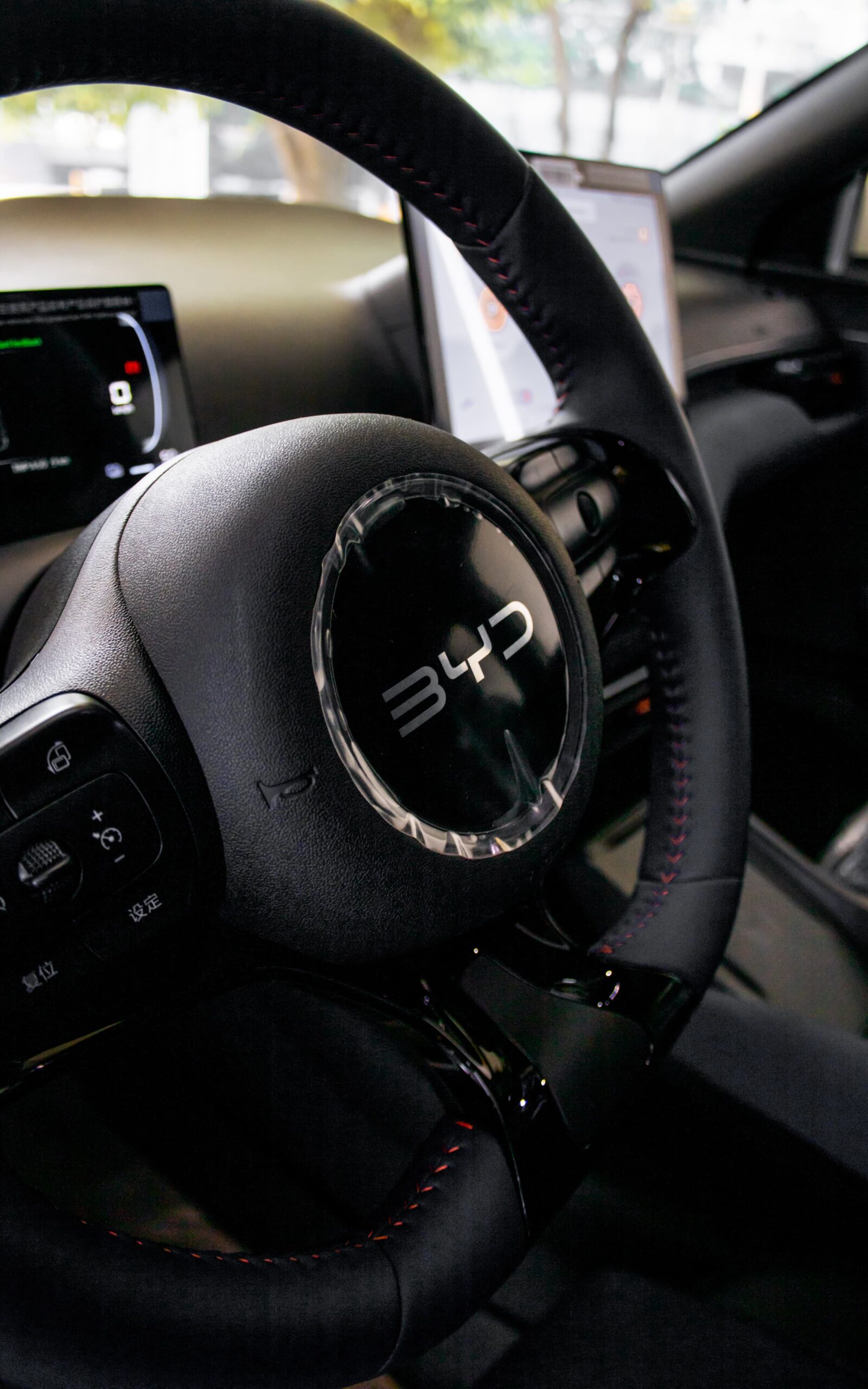 WhatsApp Image 2026-02-13 at 1.09.57 PM (1)