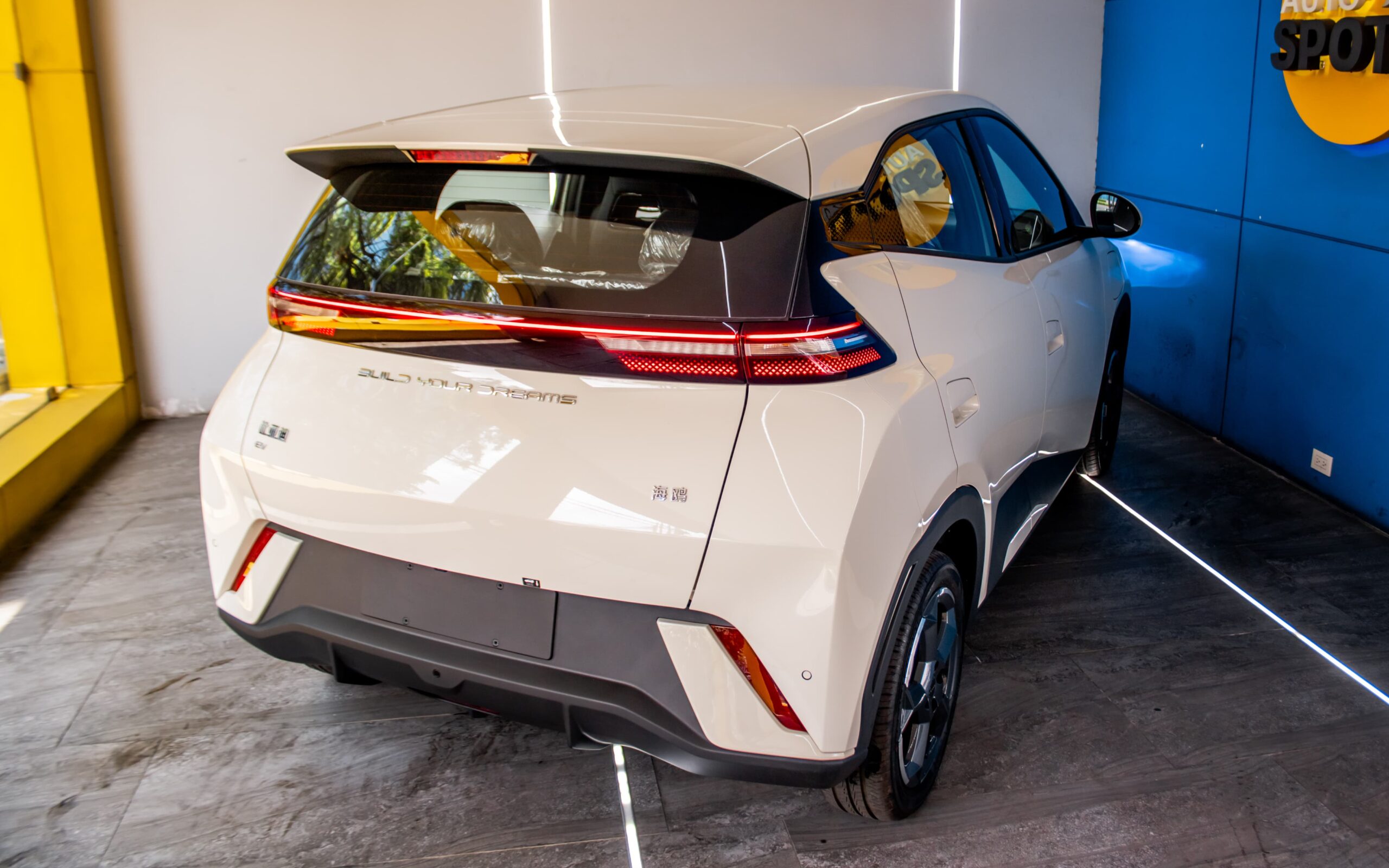 WhatsApp Image 2026-02-13 at 1.09.58 PM (4)