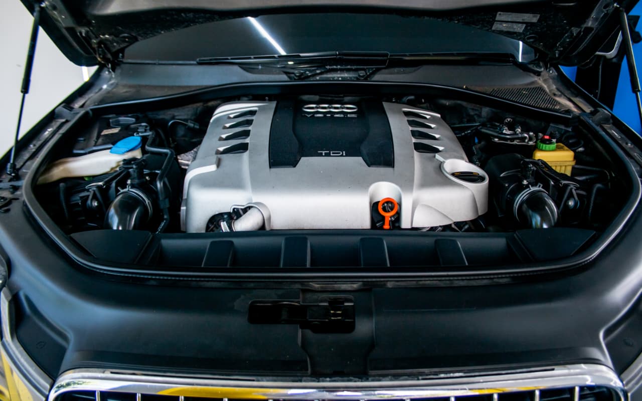 WhatsApp Imge 2026-02-20 at 12.18.06 PM