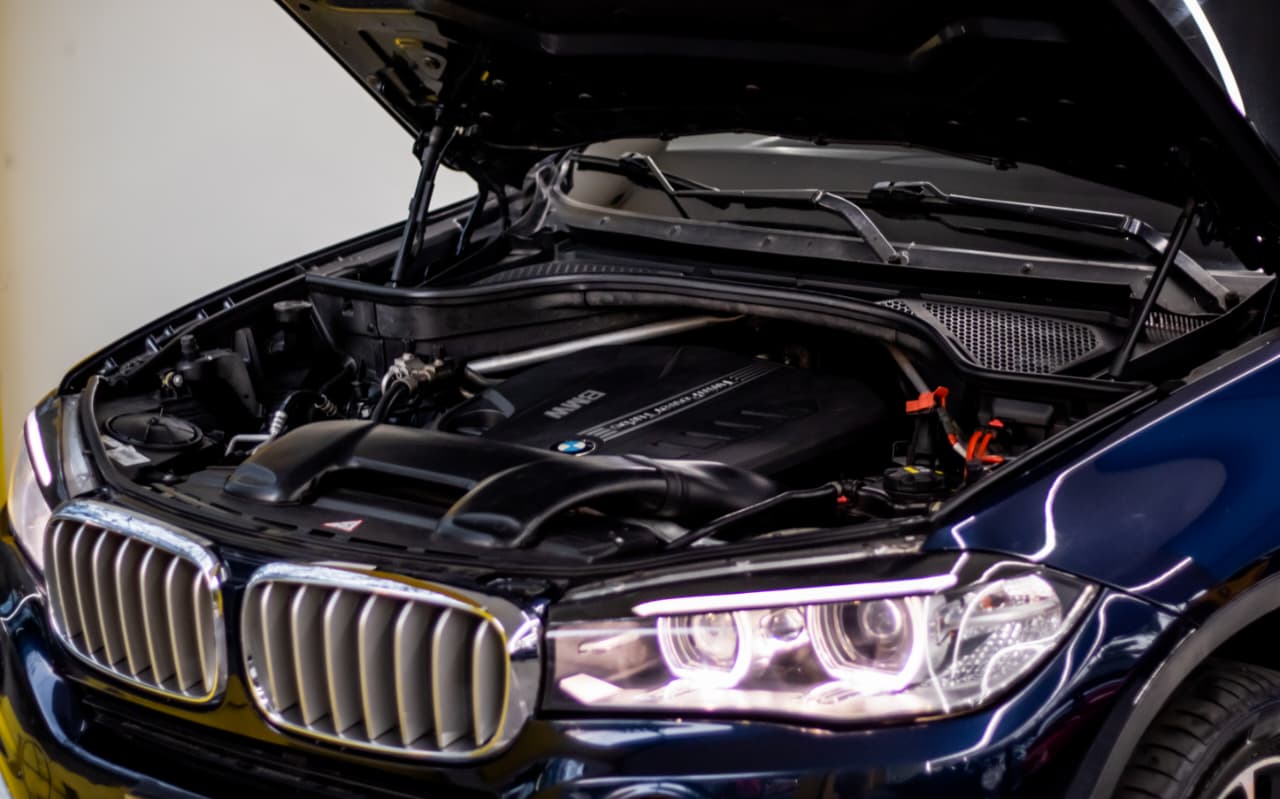 WhatsApp Image 2026-03-02 a 10.37.56 AM